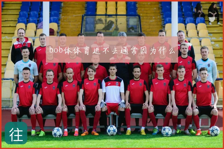 bob体体育进不去通常因为什么